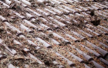 Maentwrog roof cleaning companies